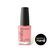 14-00000096---KINETICS-KNP361-SECRET-DEAL-15ML